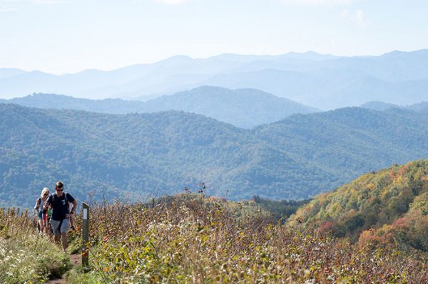 Max Patch Trail NC (A Short Hike to Beautiful 360 Views!)