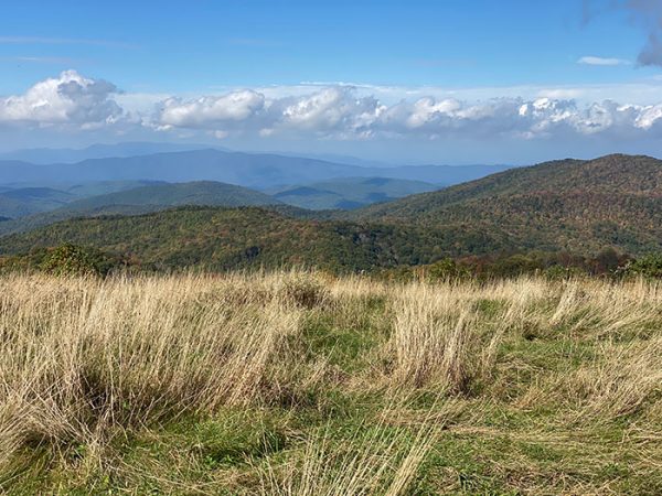 25+ Best North Carolina Road Trips: Scenic Byways + Highways