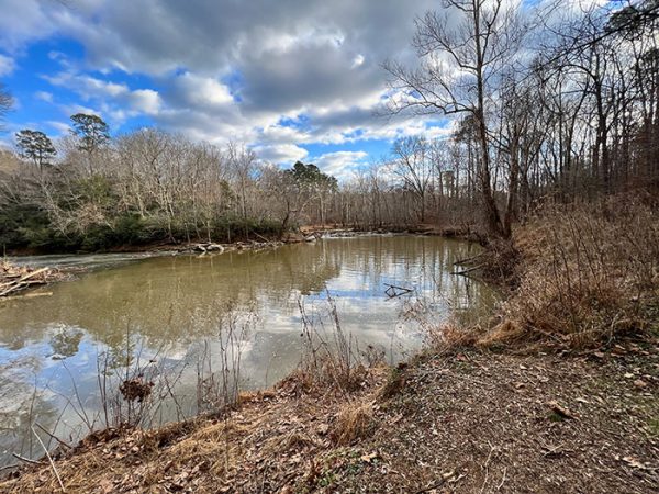 17 Amazing Eno River State Park Trails (+ Bonus Hikes)