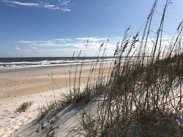 20+ Best Beaches in North Carolina for Perfect Vacations