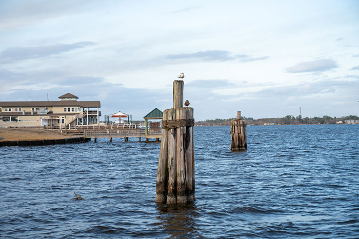 15 Awesome Things to Do in New Bern NC and Nearby