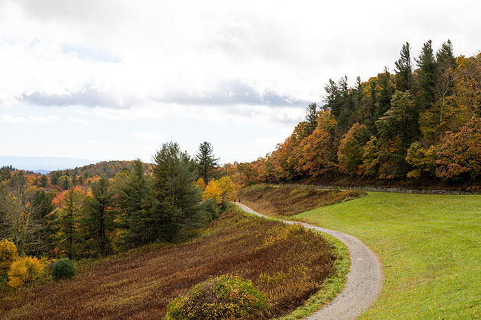 Moses Cone Memorial Park (History + The Best Things to Do)