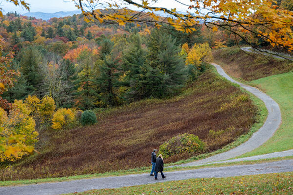 Moses Cone Memorial Park (History + The Best Things to Do)