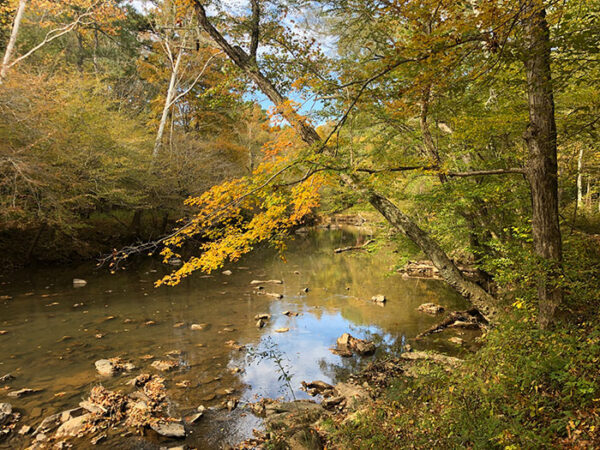 Colorful Fall Hikes in North Carolina (20+ Places to Expore)