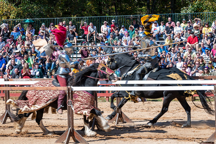 Carolina Renaissance Festival (7 Important Fair Tips!)