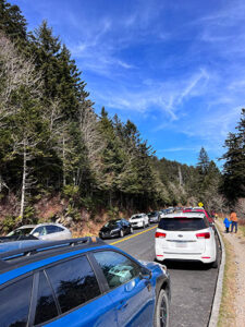 How to Find Clingmans Dome Observation Tower: Epic 360 Views