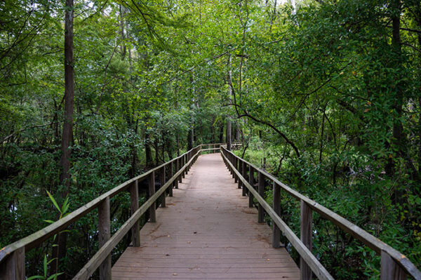 12 Wonderful National Parks In North Carolina