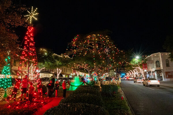 30+ BEST Christmas Lights in North Carolina