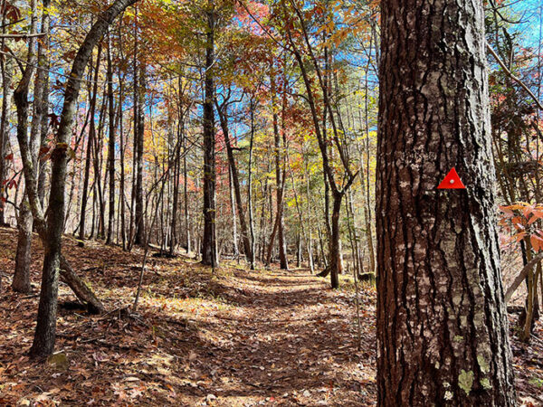 lake james state park mountain bike trails