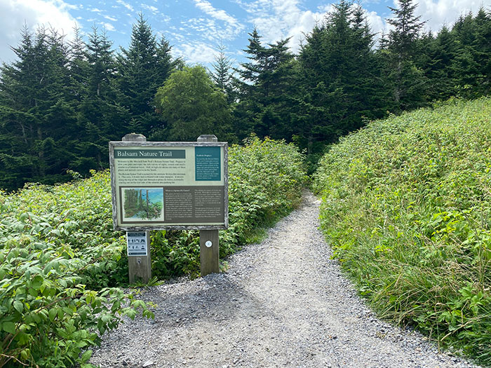 Mount Mitchell State Park Balsam Nature Trail