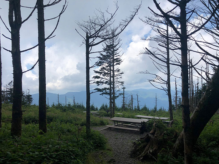 Mount Mitchell State Park Picnic Bench