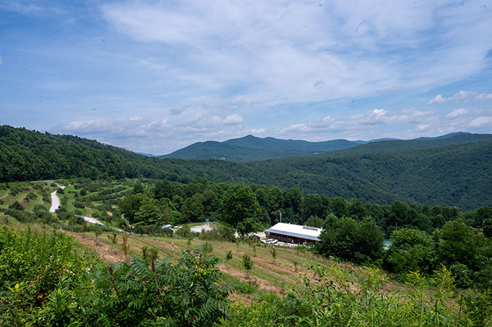 Orchard at Altapass Spruce Pine near Little Switzerland NC Apple Picking