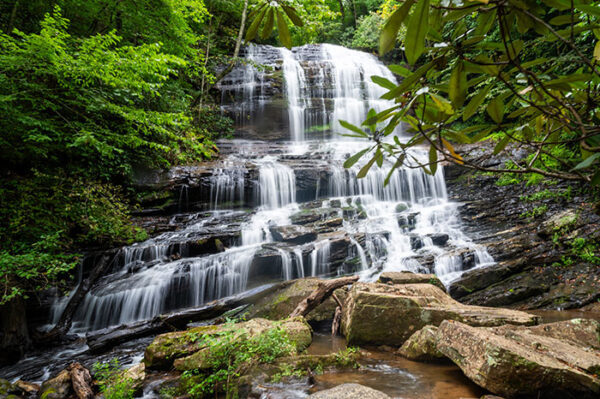 Pearson's Falls NC: How to See this Lovely 90-Foot Waterfall