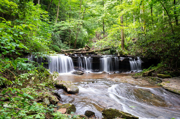 Pearson's Falls NC: How to See this Lovely 90-Foot Waterfall