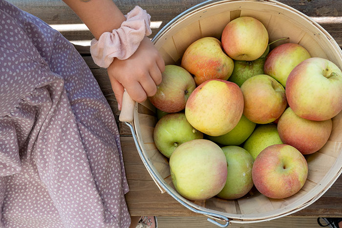 Jeter Mountain Farm apple basket