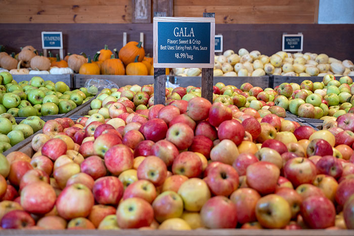 Jeter Mountain Farm apples for sale