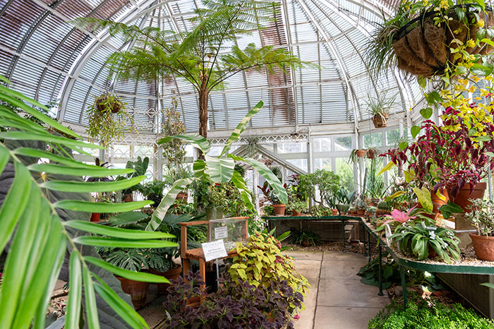 Reynolda Gardens greenhouse